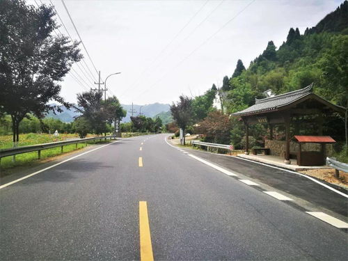 臨安公路榮膺省級(jí)綠化美化精品道路，橋梁藝術(shù)融入生態(tài)長廊